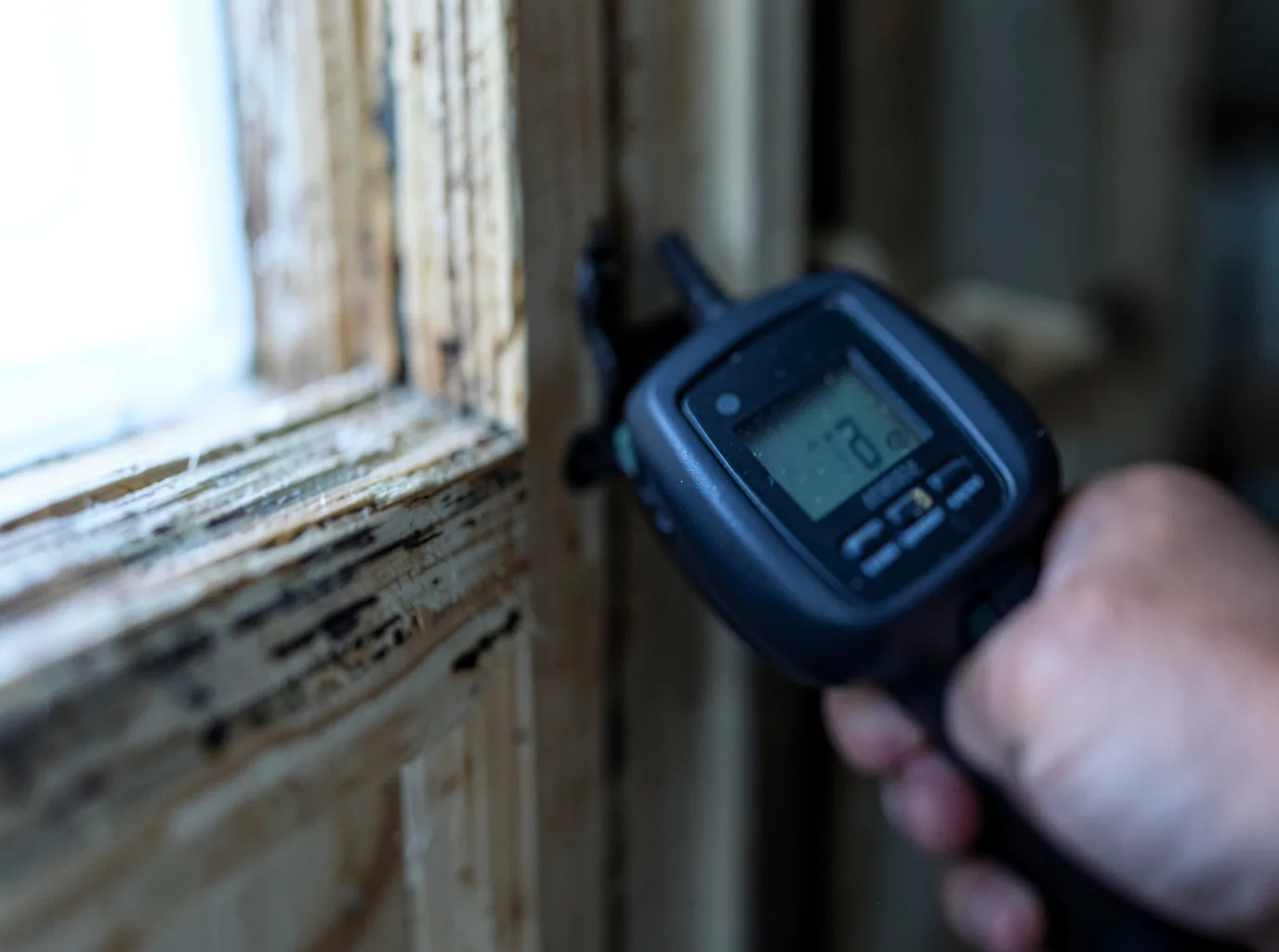 Moisture Inspection And Documentation in Orange, NJ